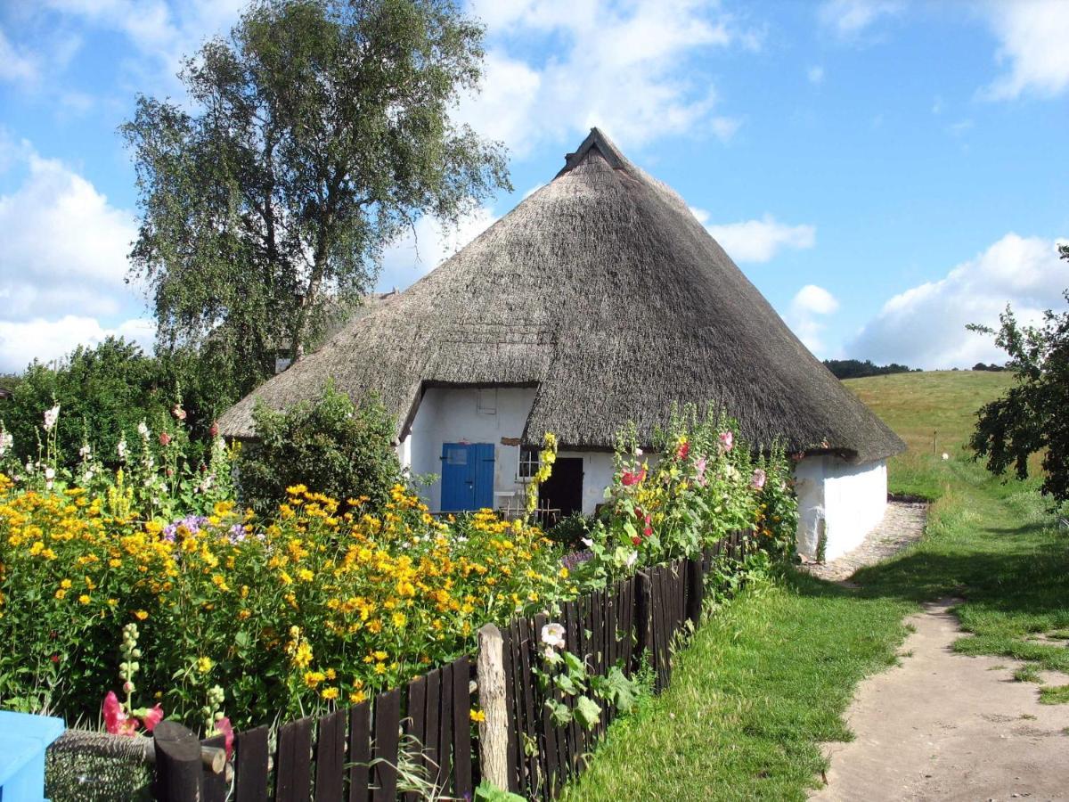 Ferienhaus Zum Boddenstrand Mit Ka Gross Zicker Exterior photo
